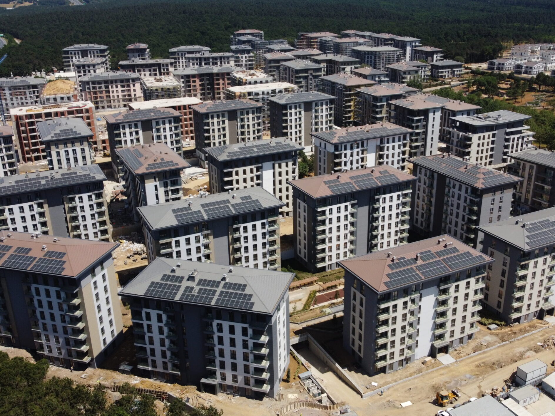 DCIM102MEDIADJI_0415.JPG